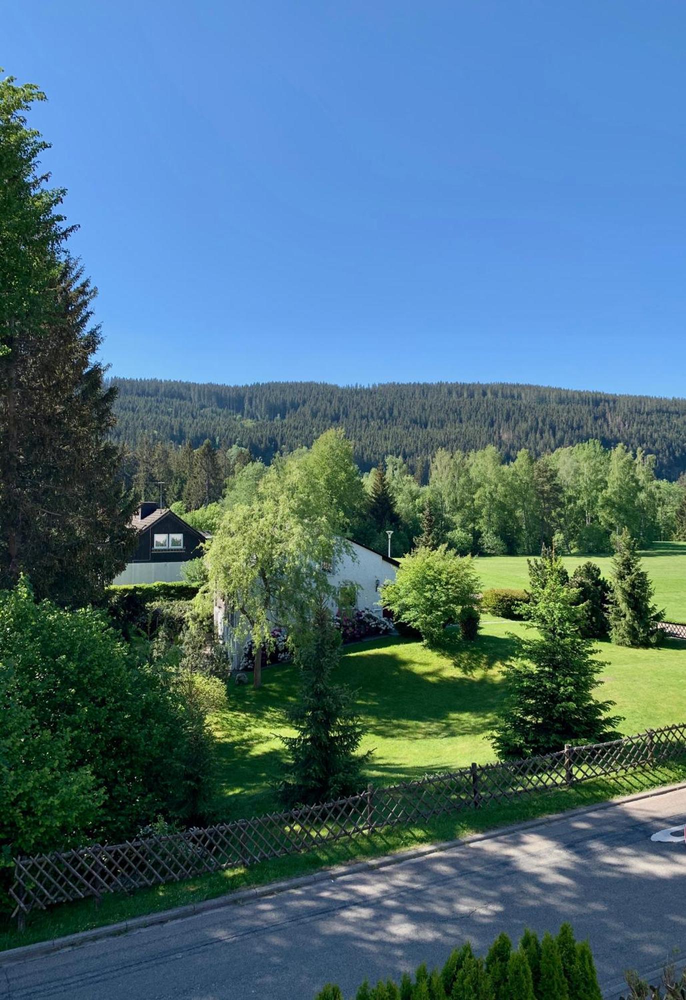 Ferienwohnung Homburger - Titisee Экстерьер фото